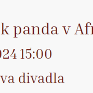 Medvídek panda v Africe - Město Rakovník